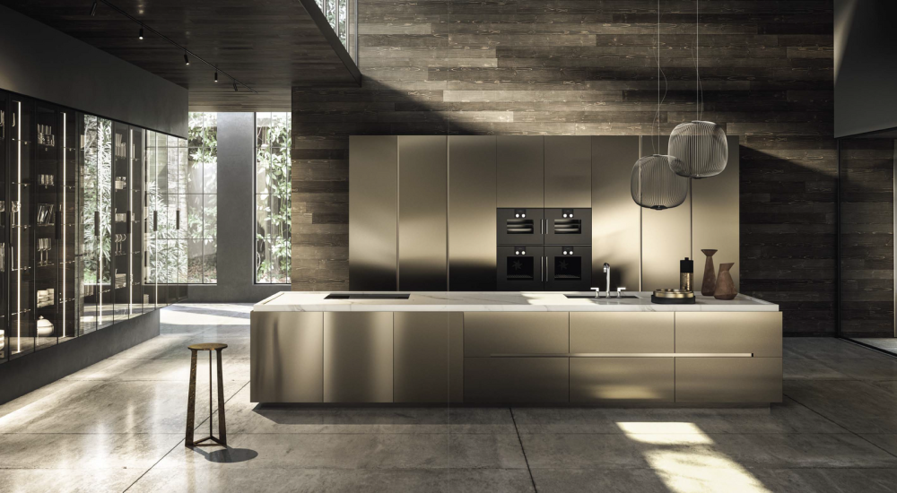 Aster Contempora Comp 2